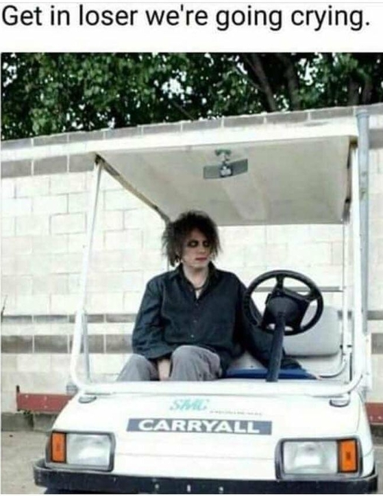 Get In Loser We're Going Crying