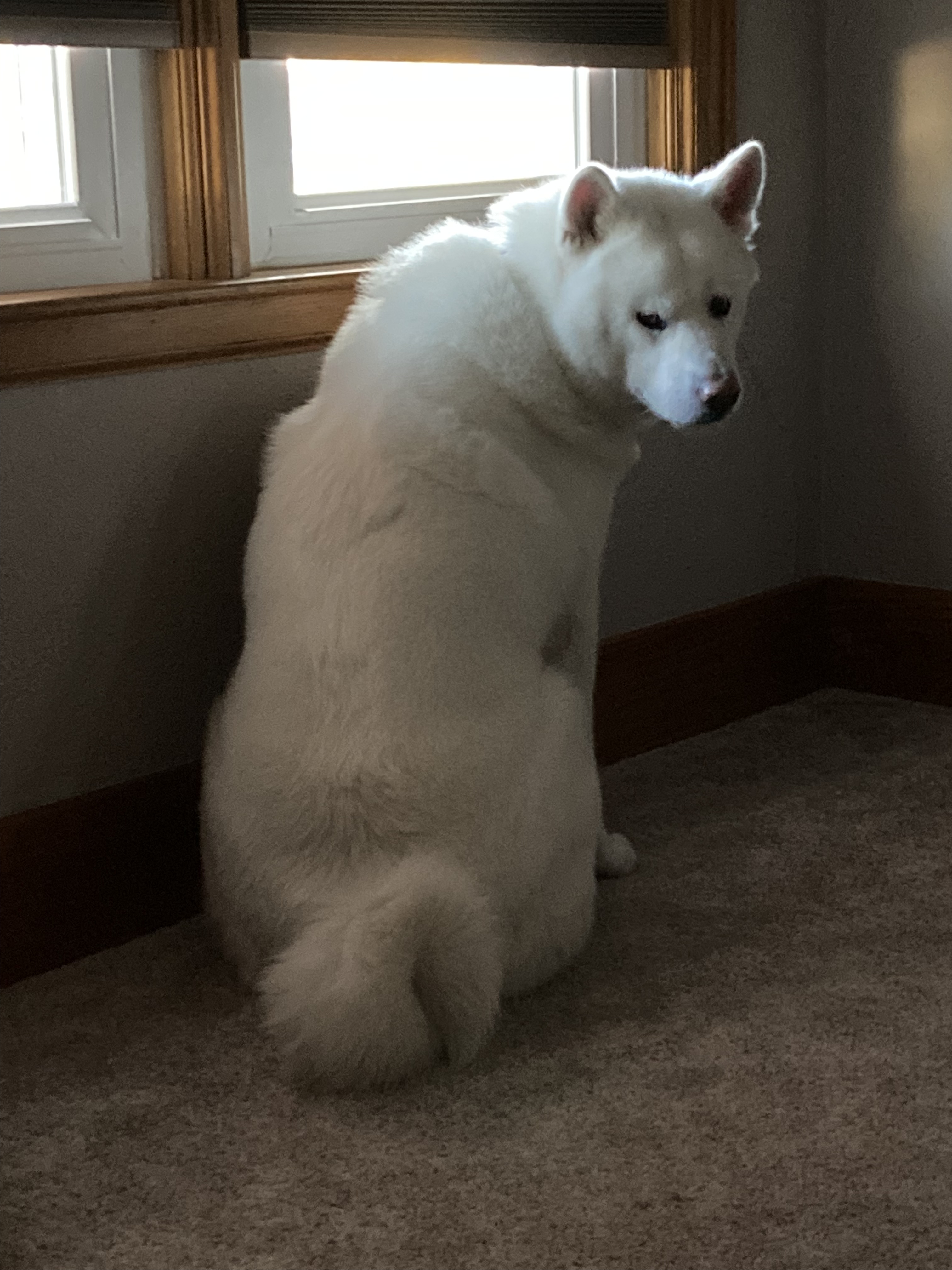 2022-10-20 Me? Judgmental?