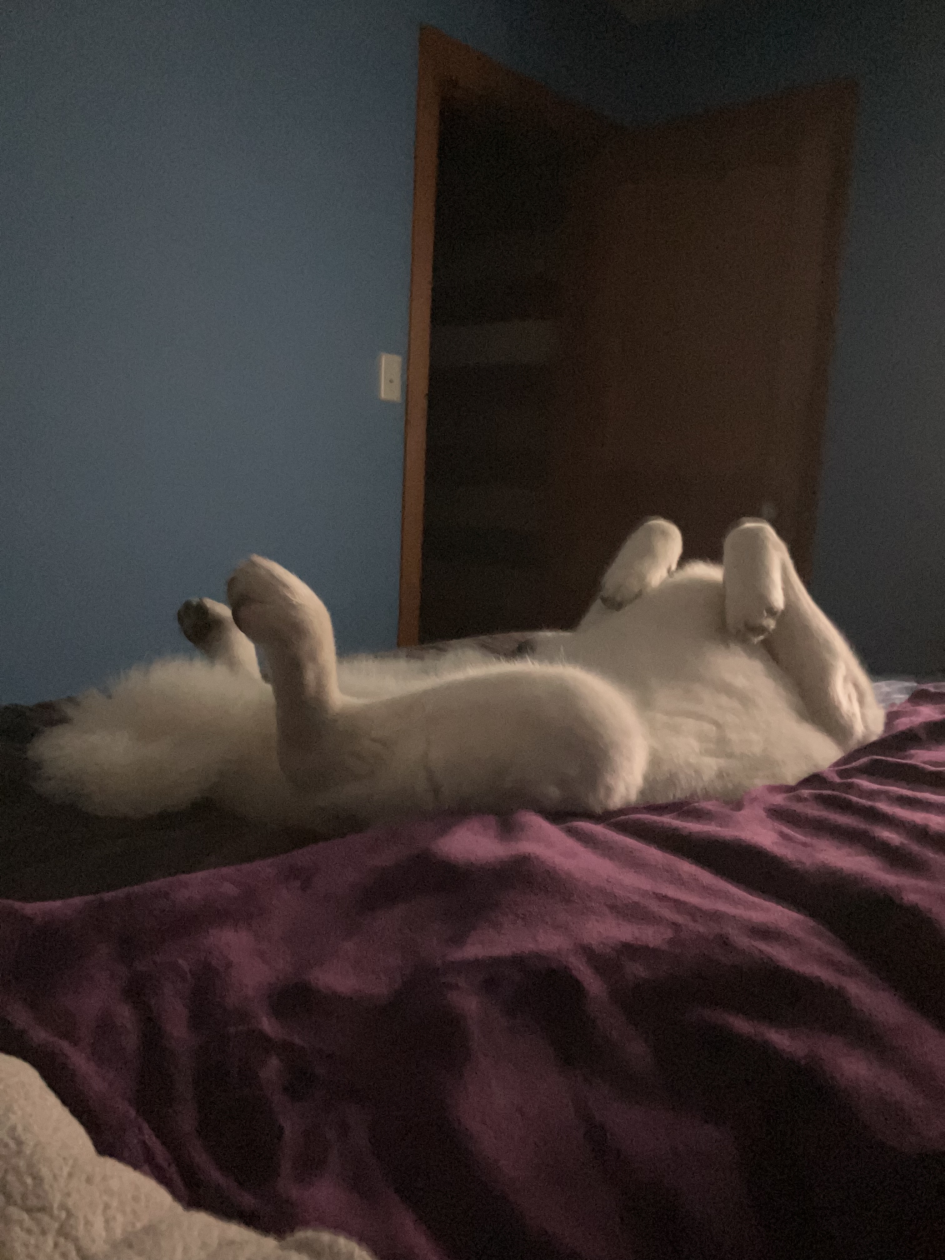 2023-02-14 Showing Mom My Sweet Side